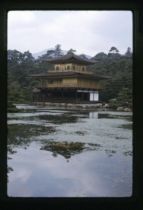 0195 House on Water .jpg