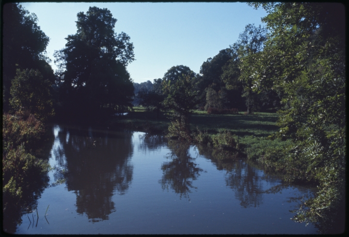 1406 Stream Running Between Trees.jpg