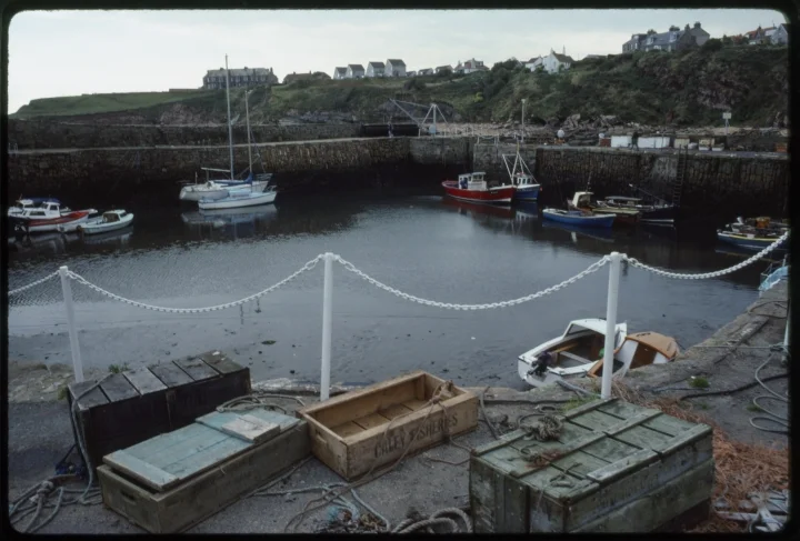 1090 Dock-Boxes-Chain Fence.jpg