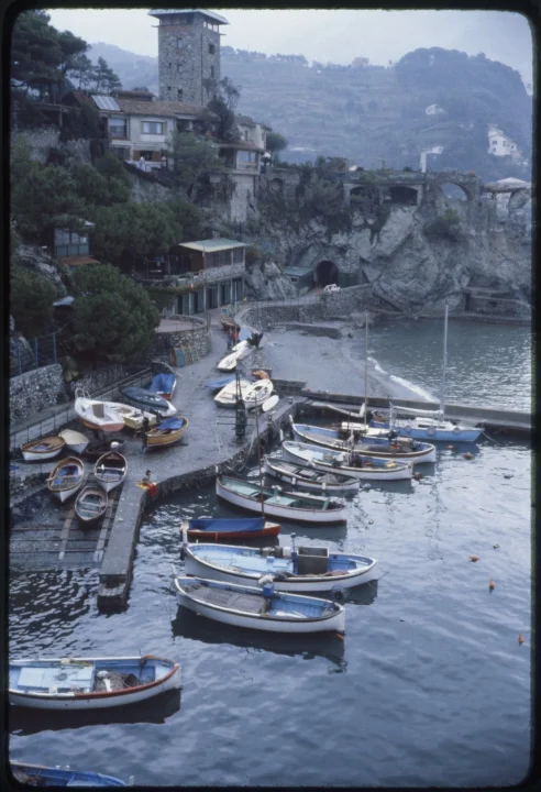 1548 Blue Boats at Dock.jpg
