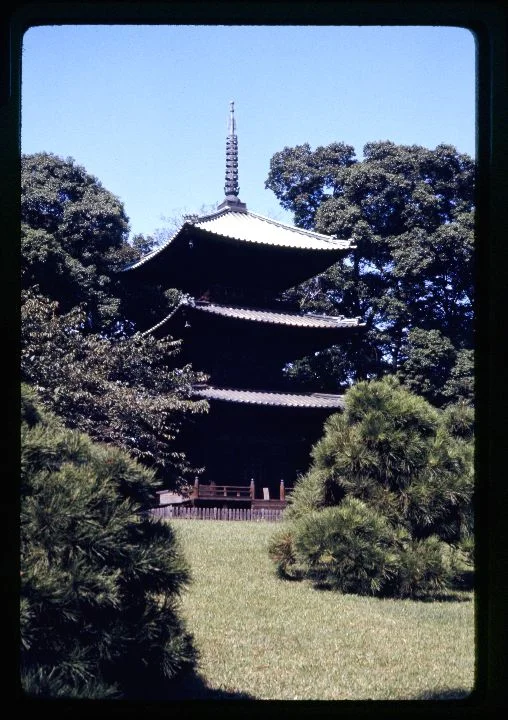 0337 Temple View Through Bushes.jpg