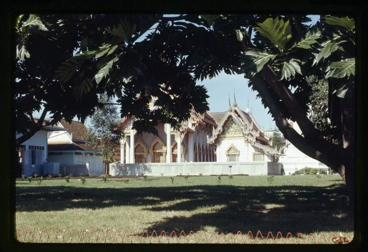0398 Temple Behind Tree.jpg