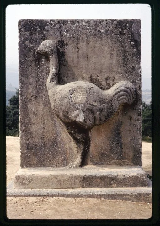 0508 Ostrcih Carving.jpg