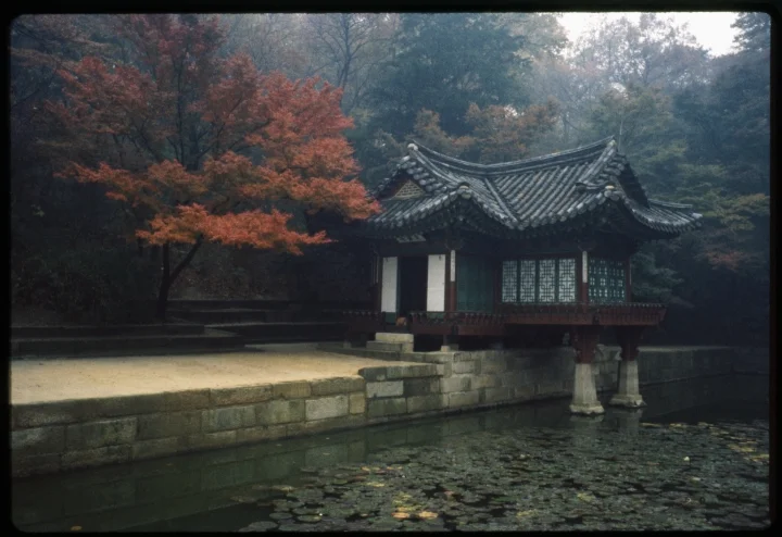 0972 Temple-Stilts in Water.jpg
