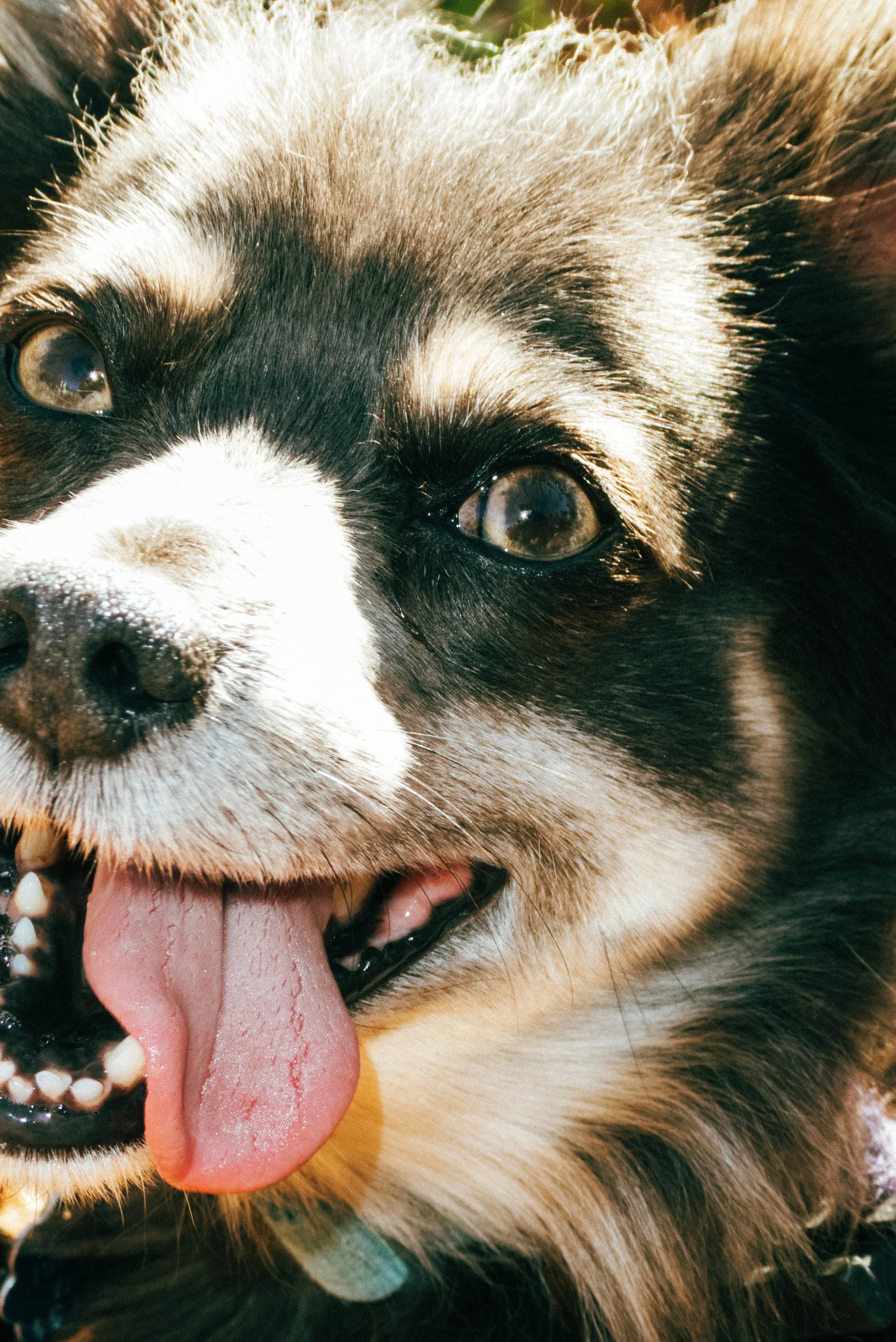 meredith bday-066.jpg