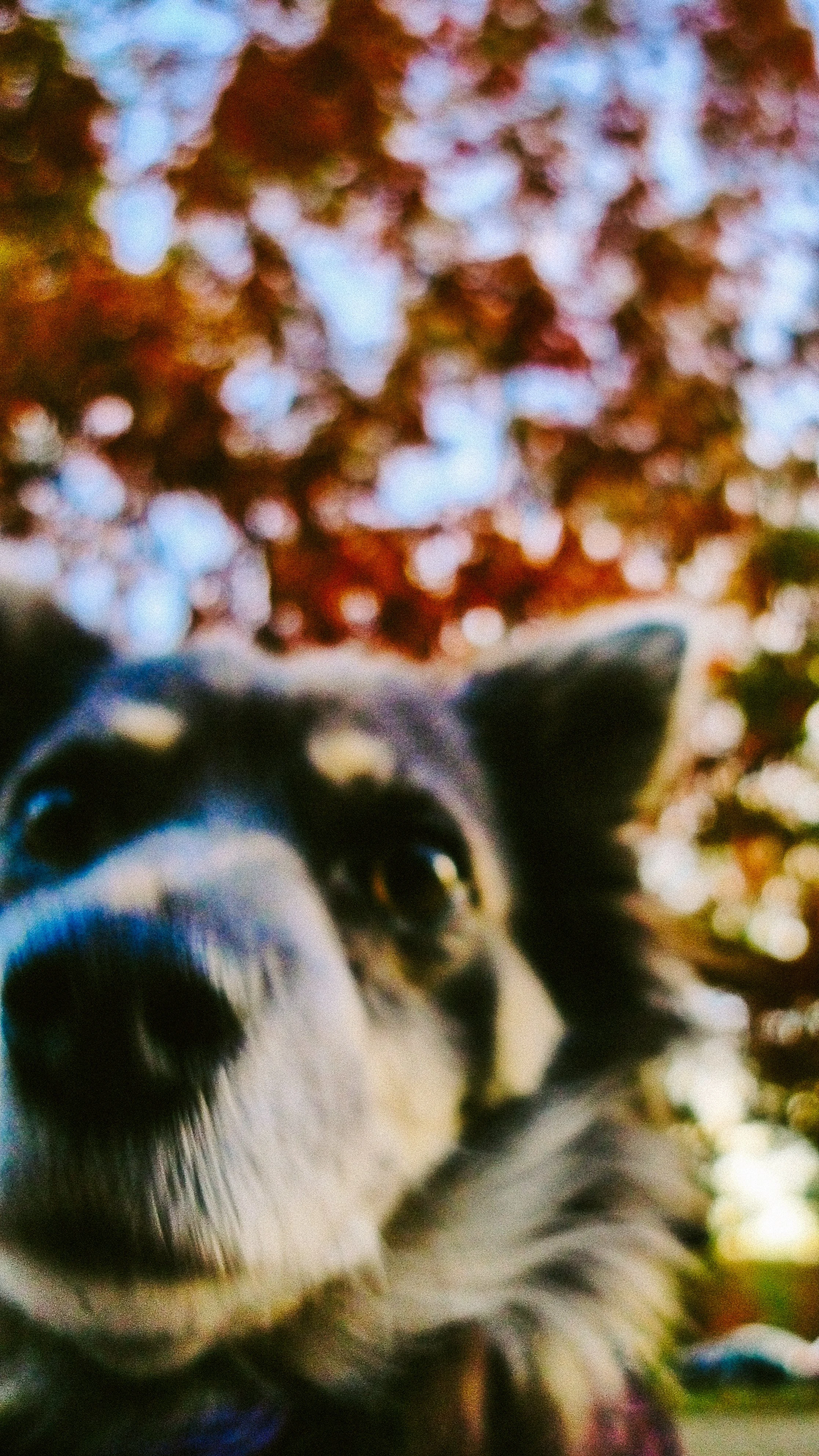 untitled shoot-064.jpg