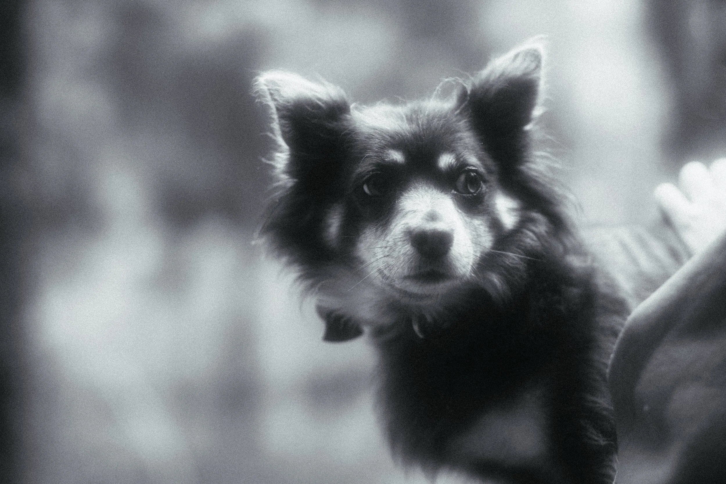 untitled shoot-004.jpg