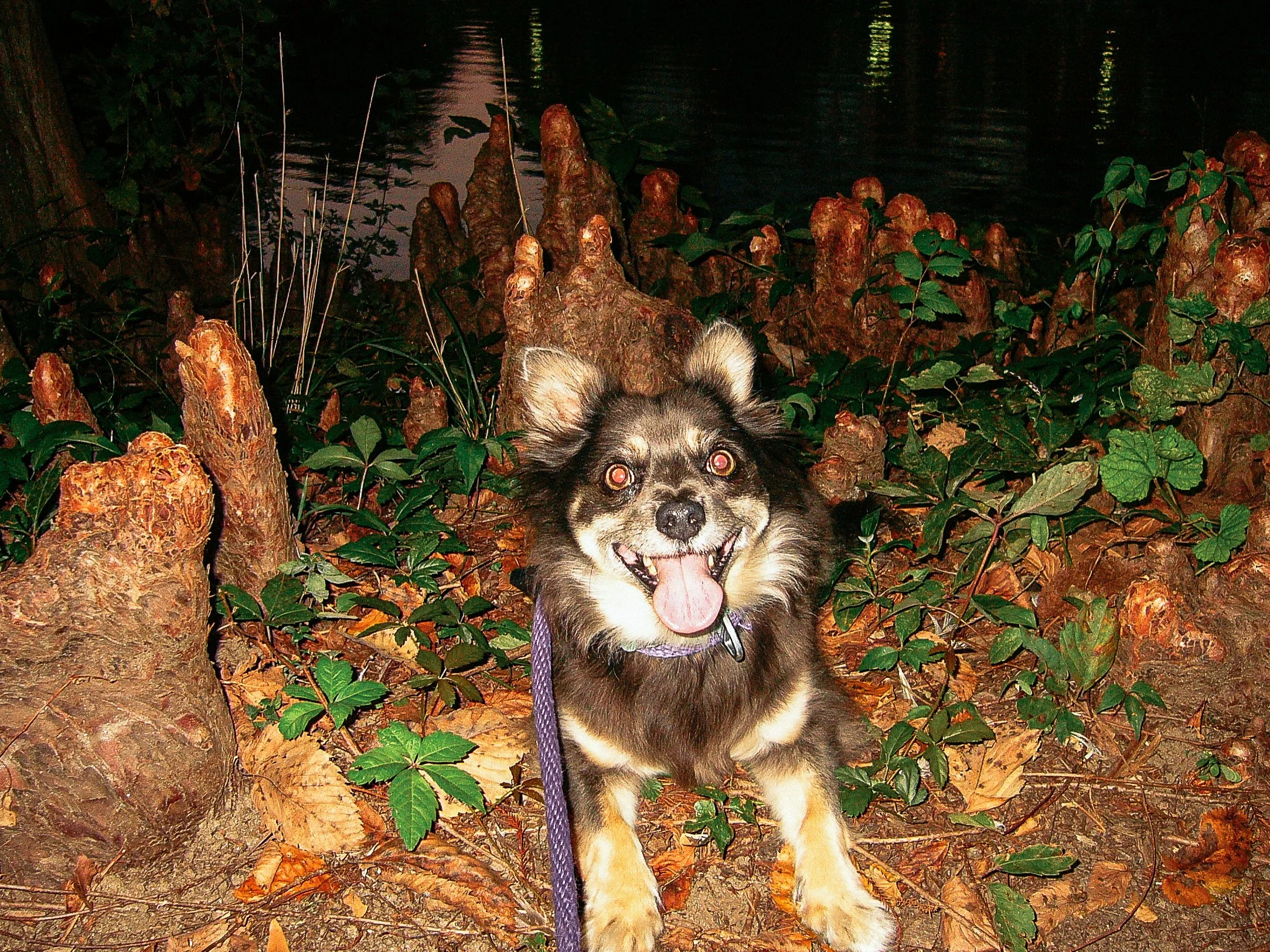 (mere moments later)