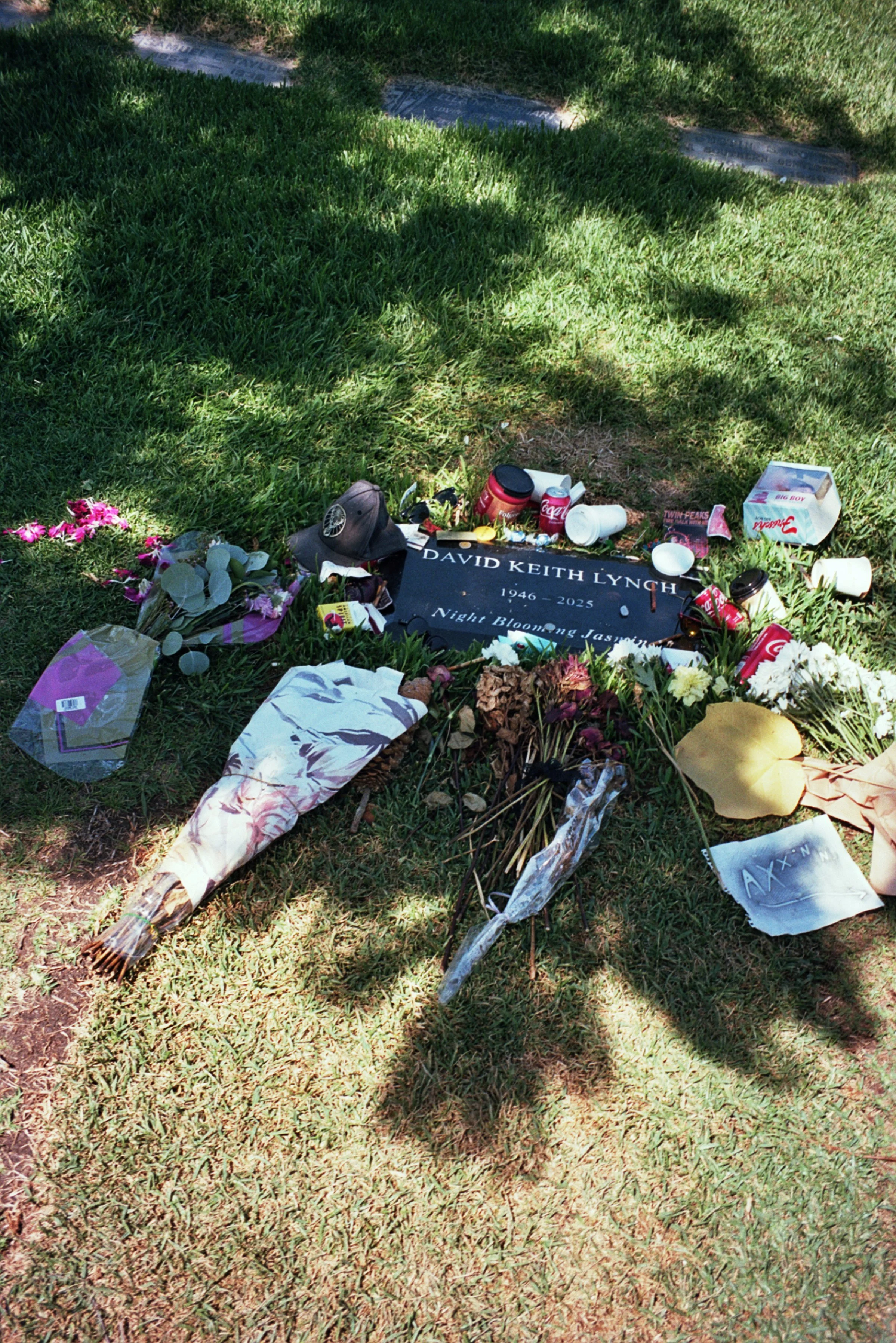 at the same time, this life and its body have taken me to places where i might... absolutely expect it to go