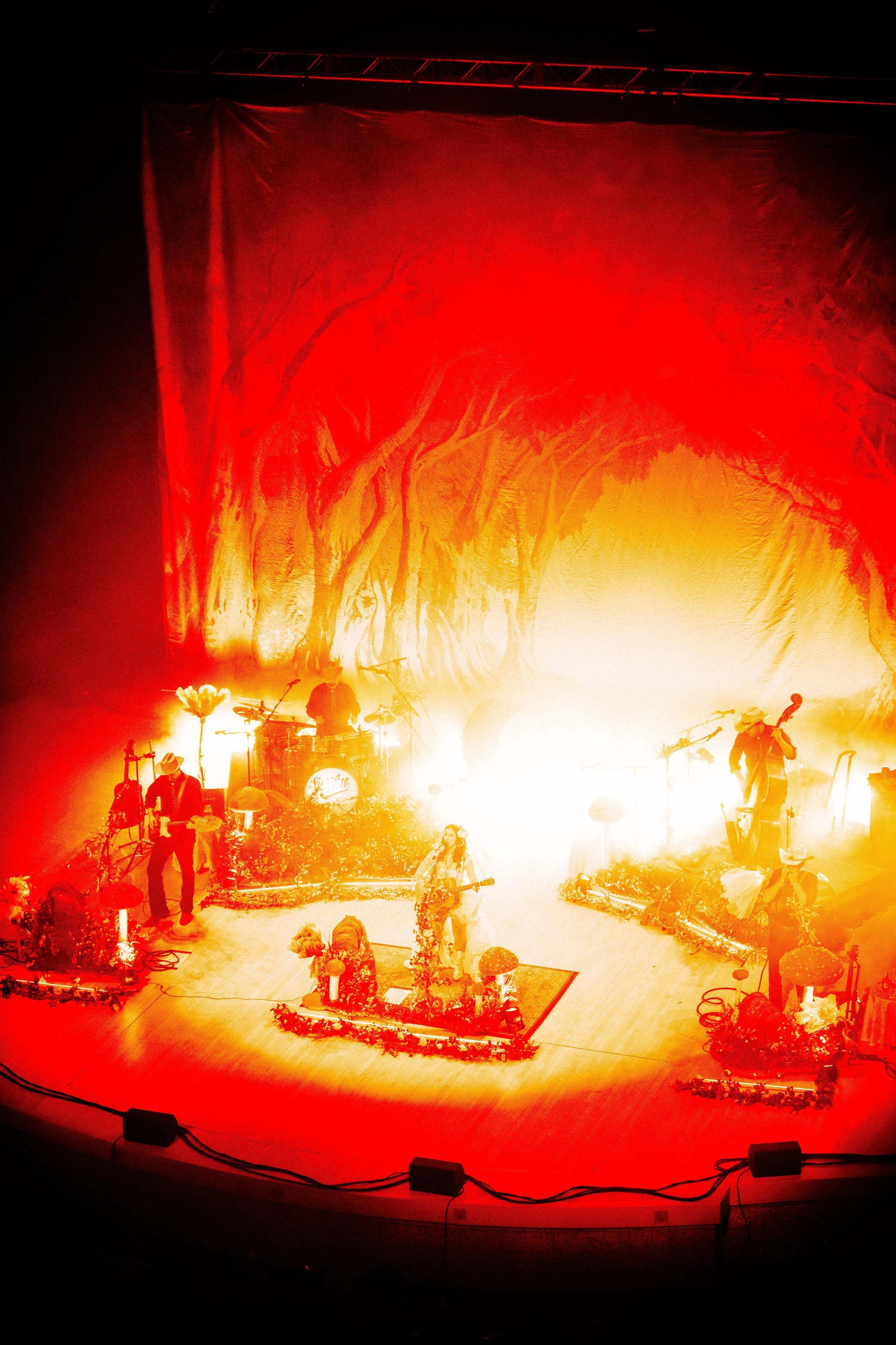 untitled shoot-066.jpeg