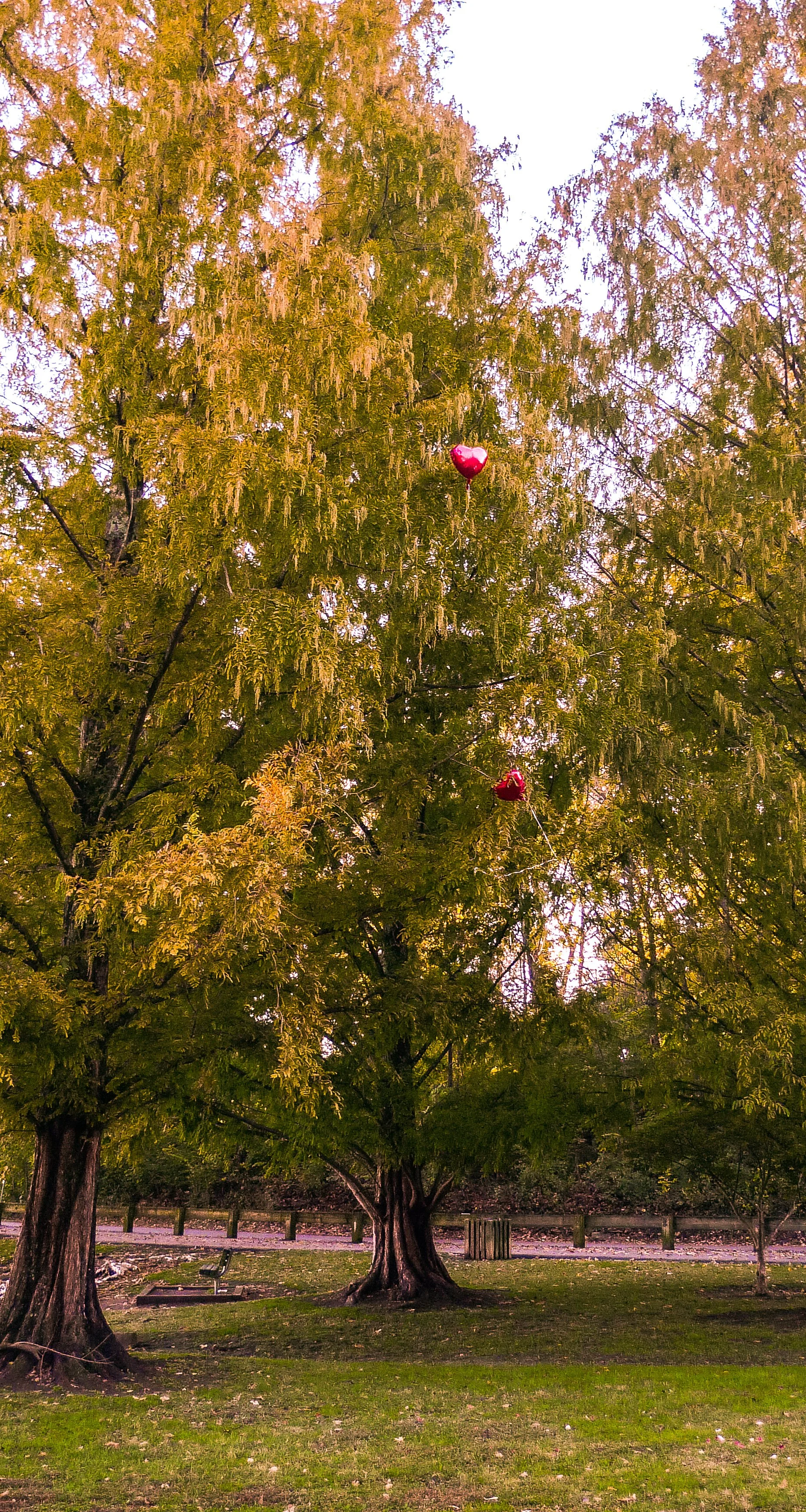 shelby park, nashville