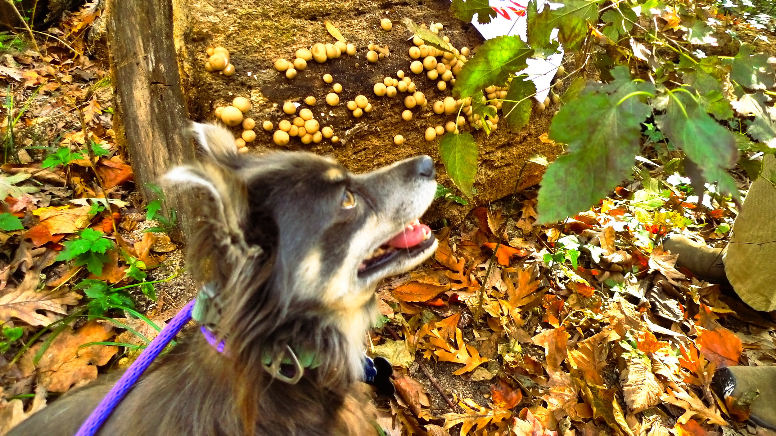 and places that i've considered to be home