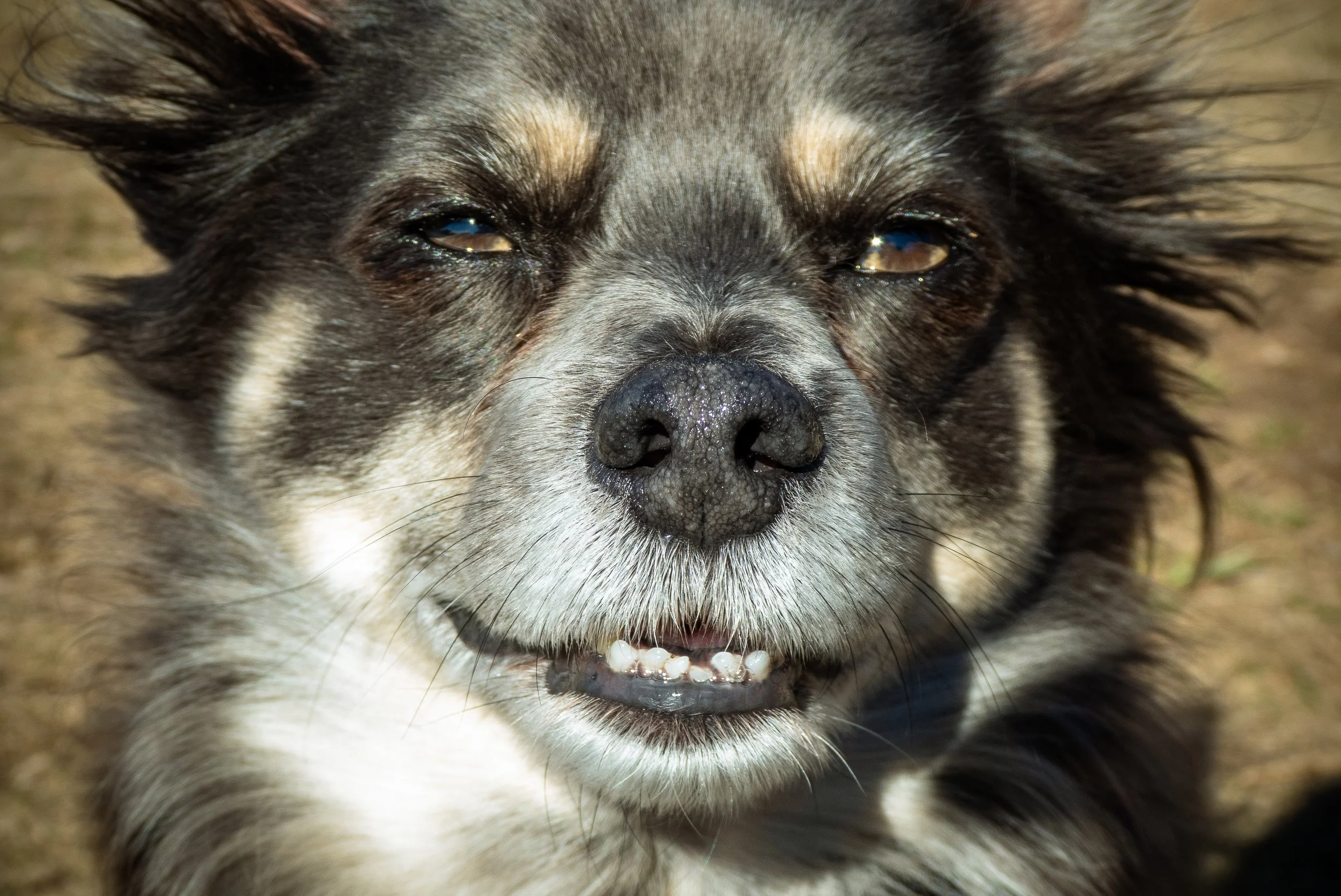 meredith bday-035.jpg