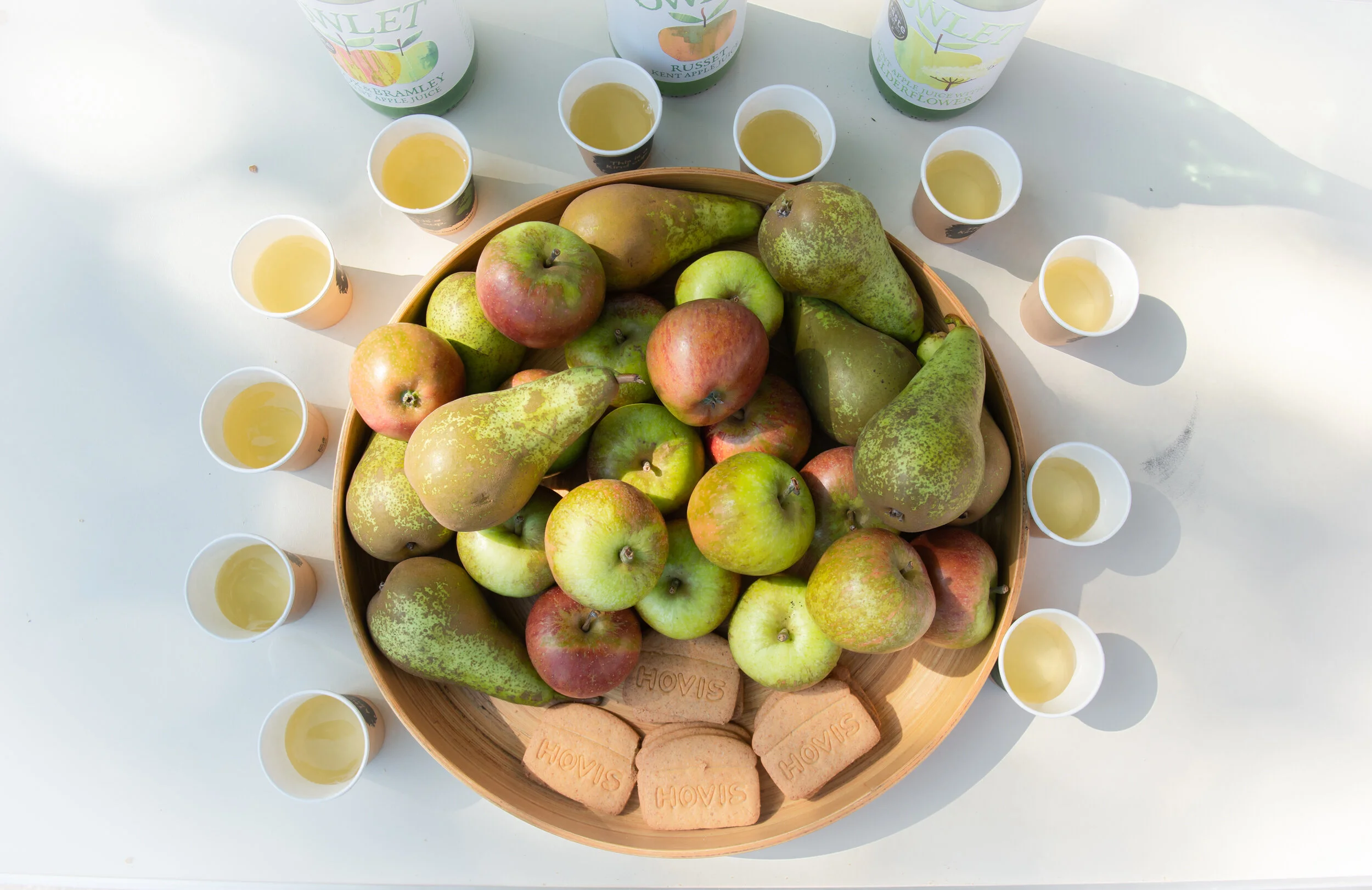  Credit: Marta Corada 