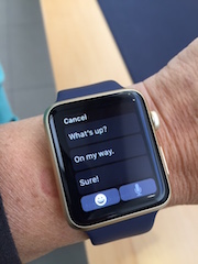 The Apple Watch give its users an easy way to reply to messages.