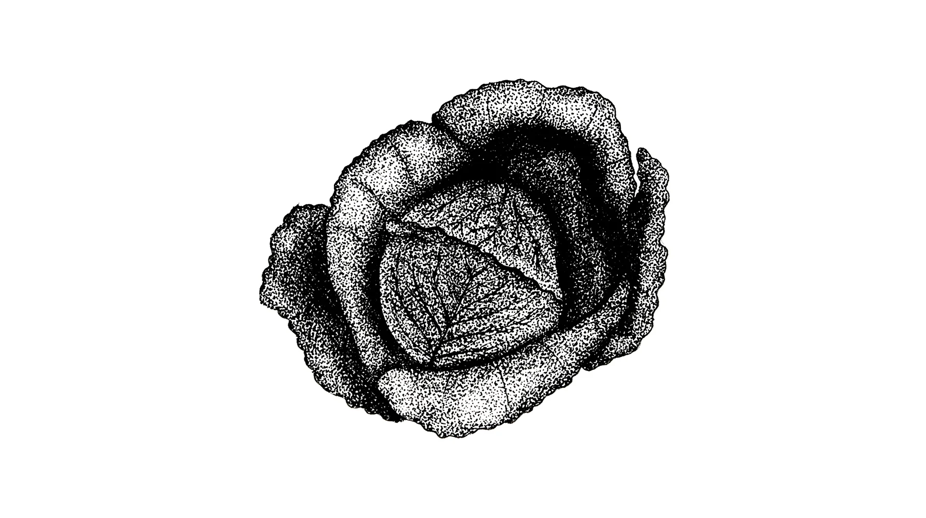 Various personal illustration projects