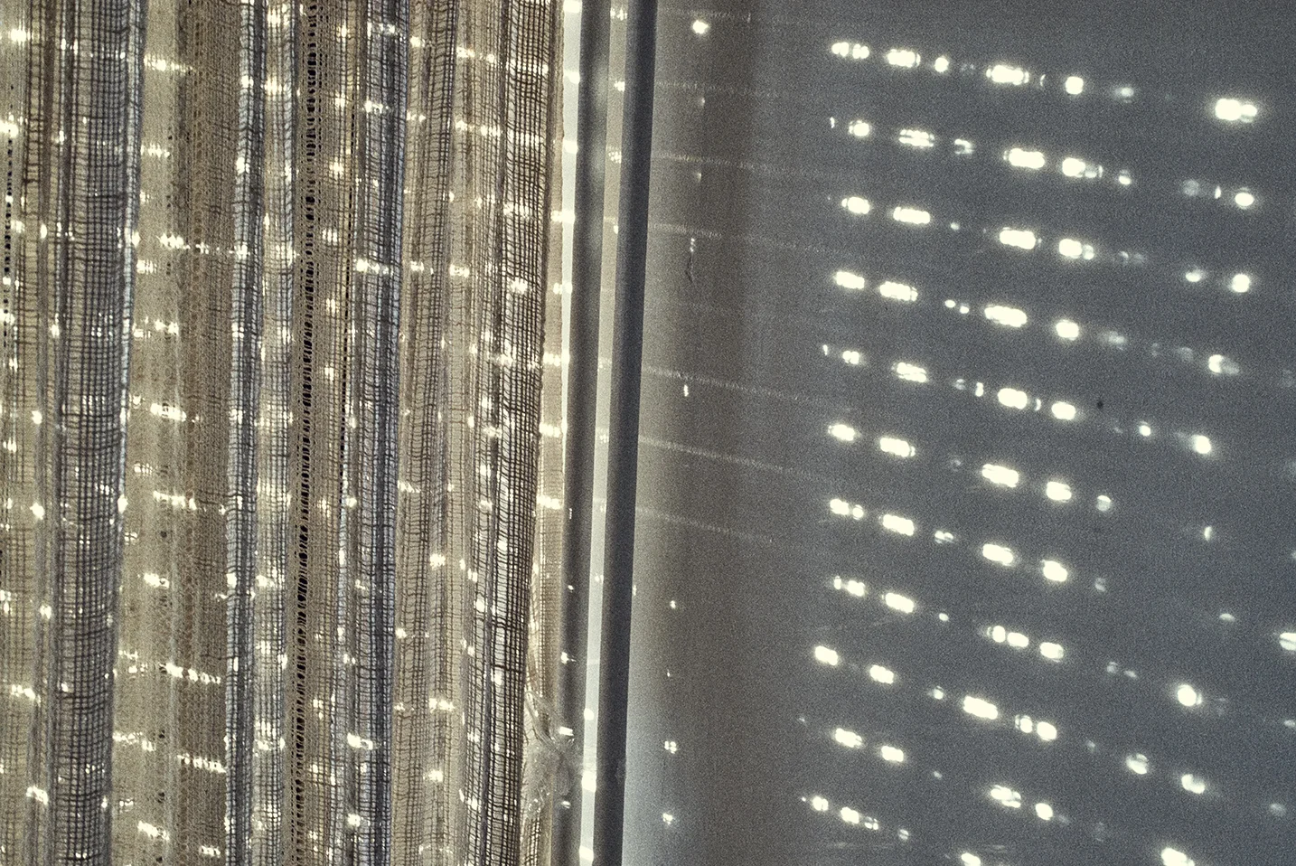 L1003794.jpg