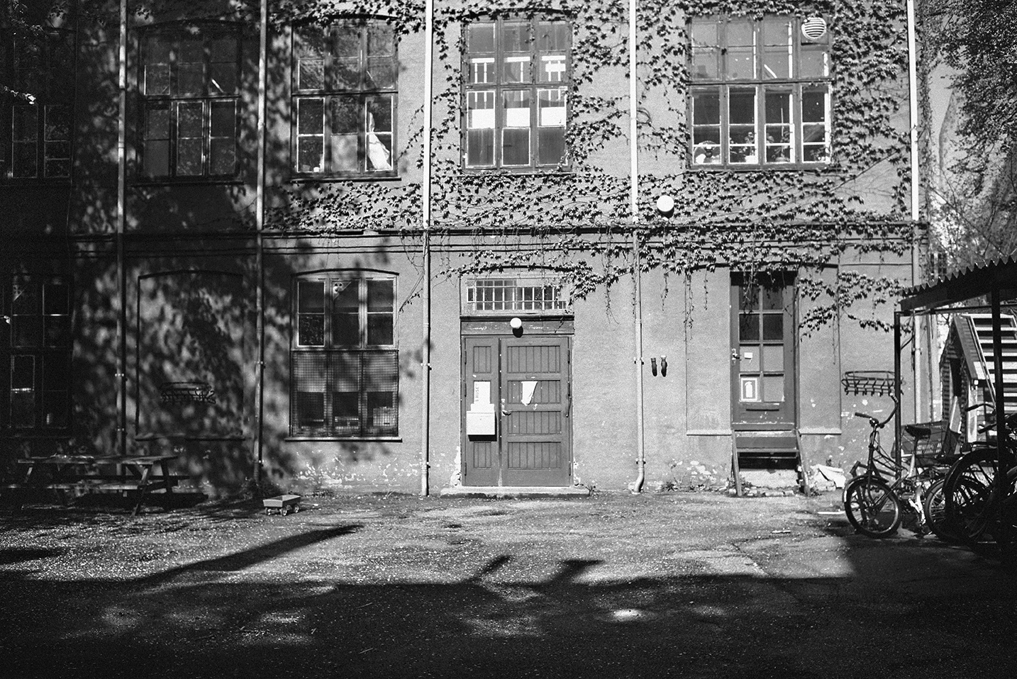 L1001927 1.jpg