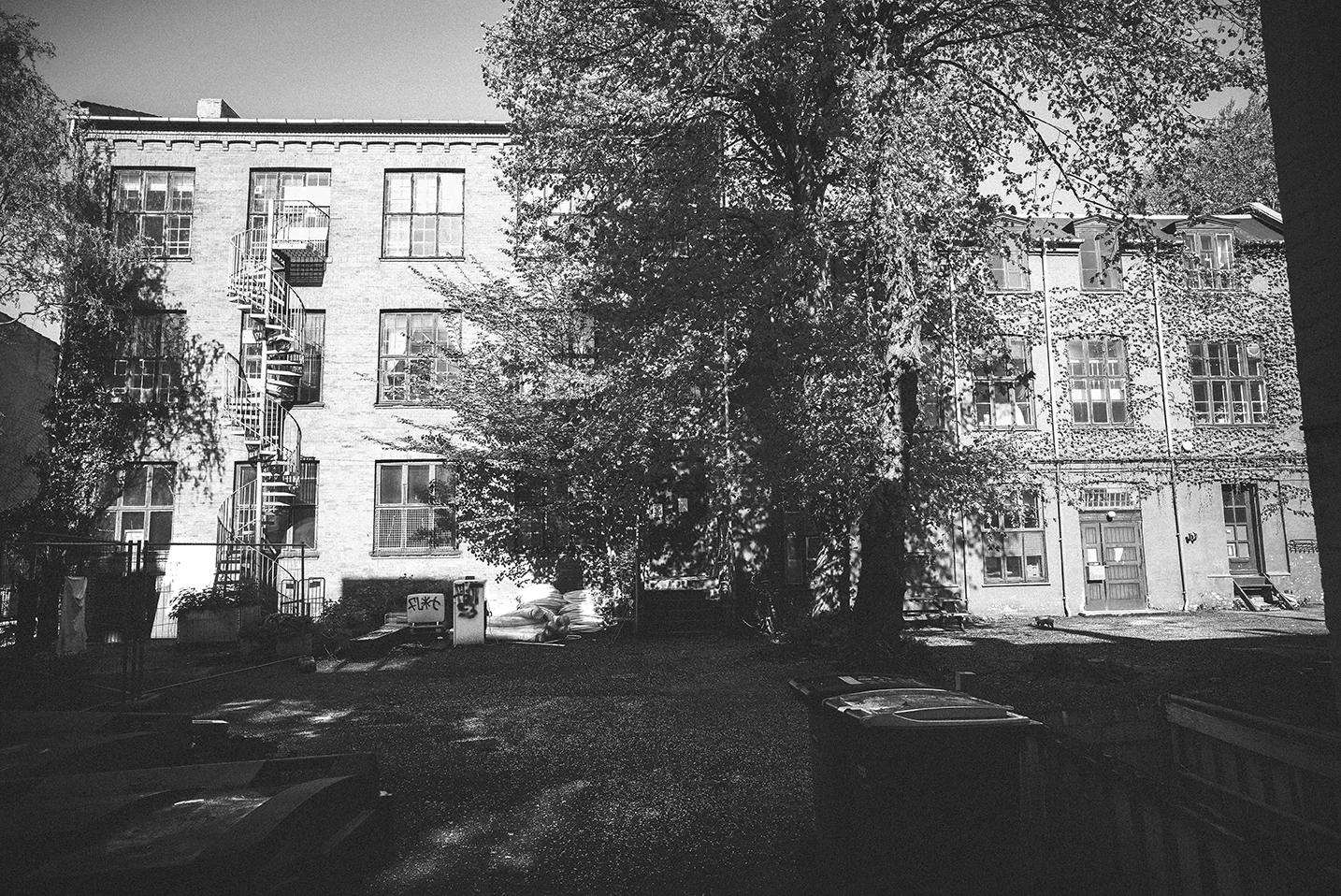 L1001889 1.jpg
