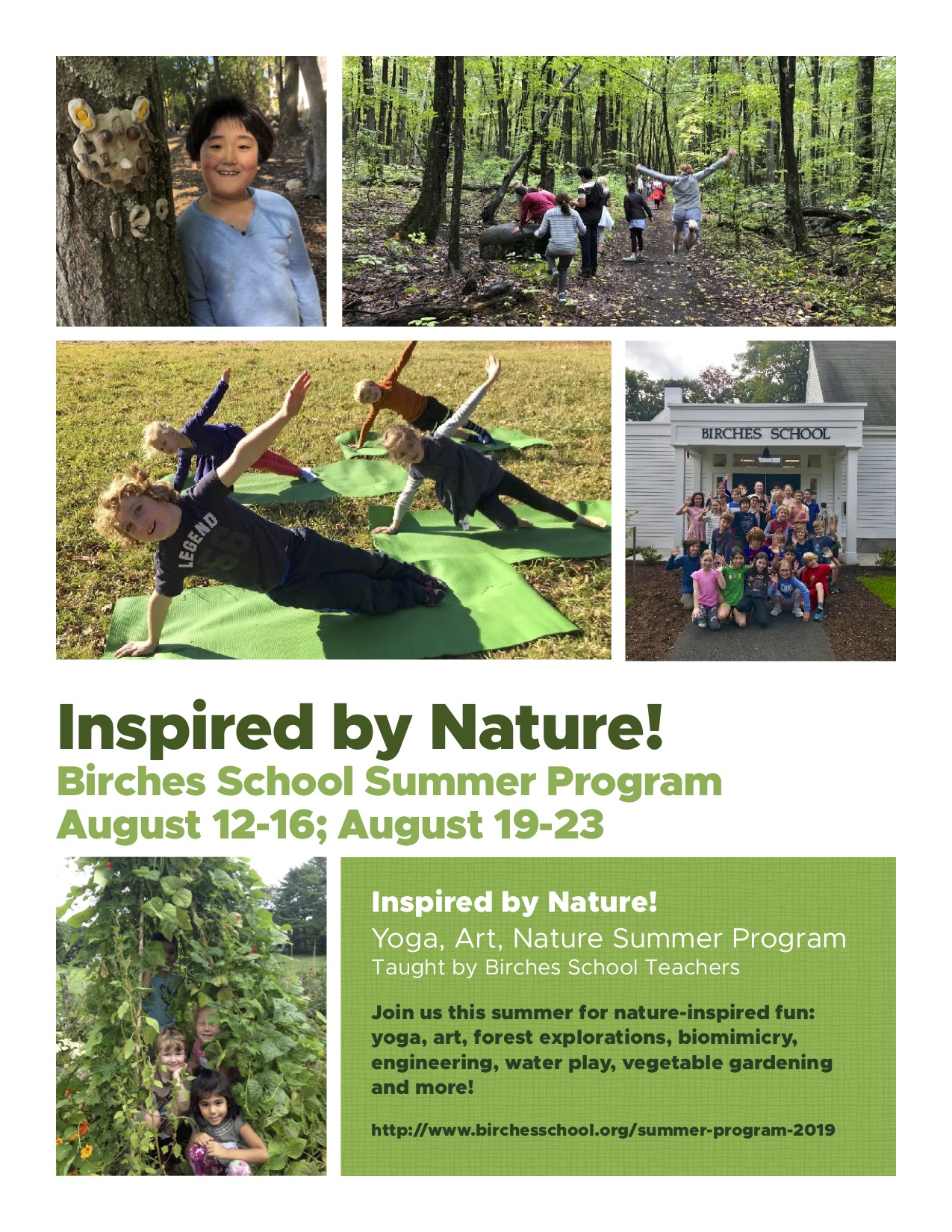 Birches Summer Program Flyer final.jpg