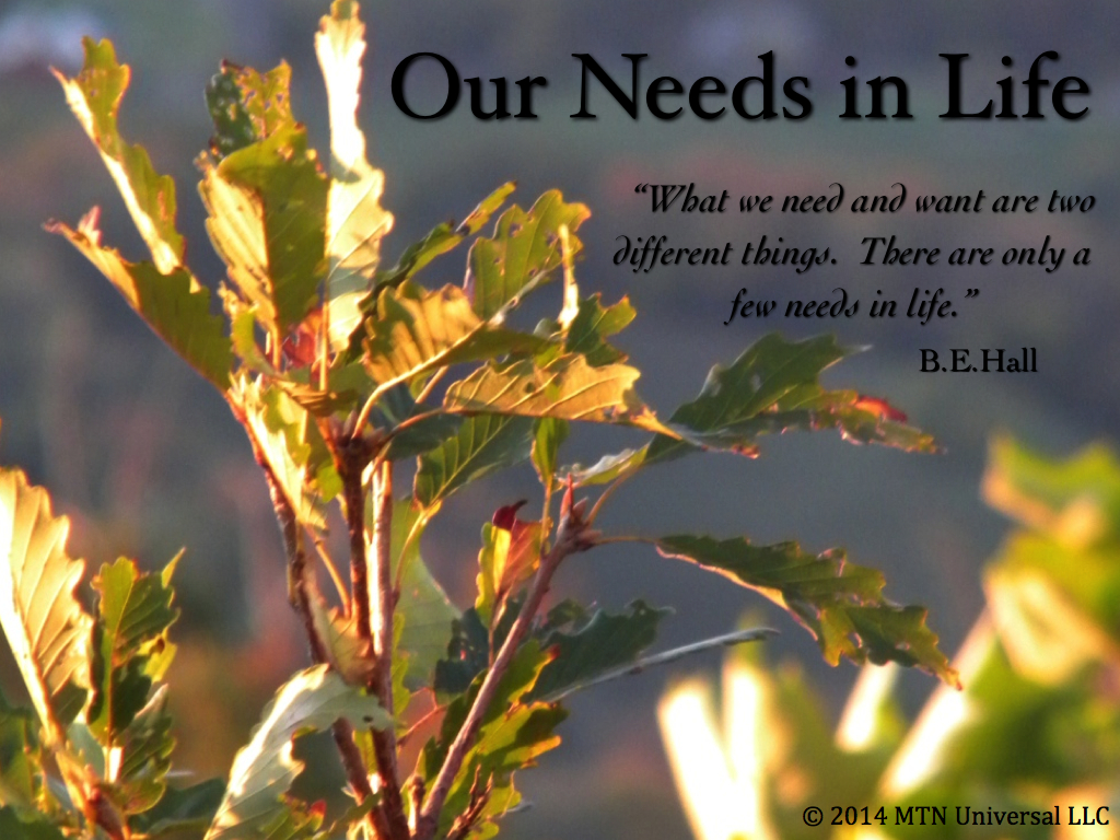 Our-Needs-in-Life.001.jpg