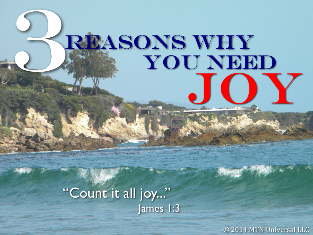 3-Reasons-Why-You-Need-Joy.001.jpg