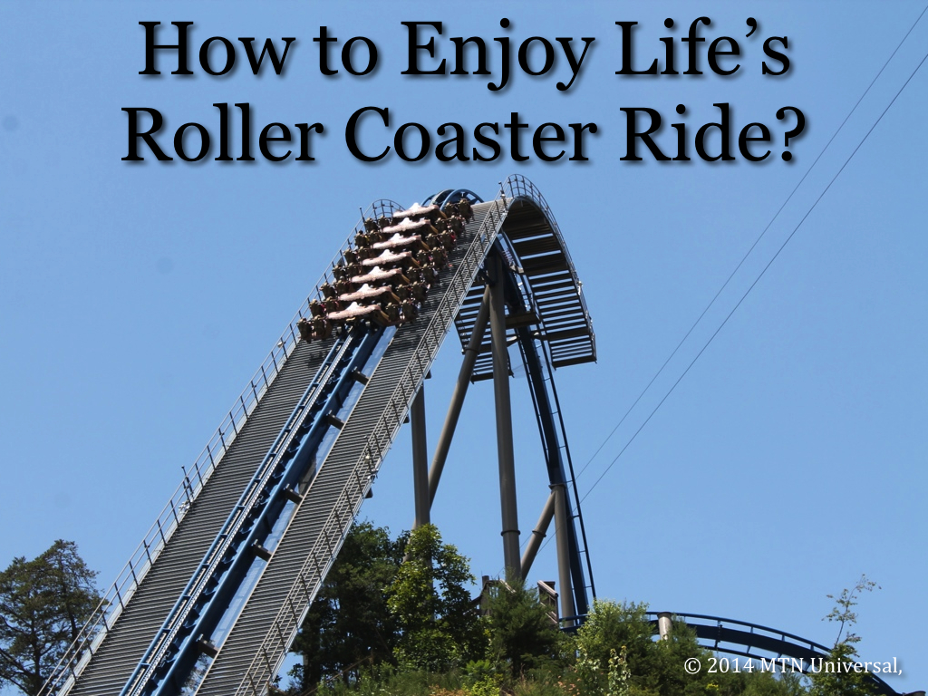 How-to-Enjoy-Life’s-Roller-Coaster-Ride.0011.jpg