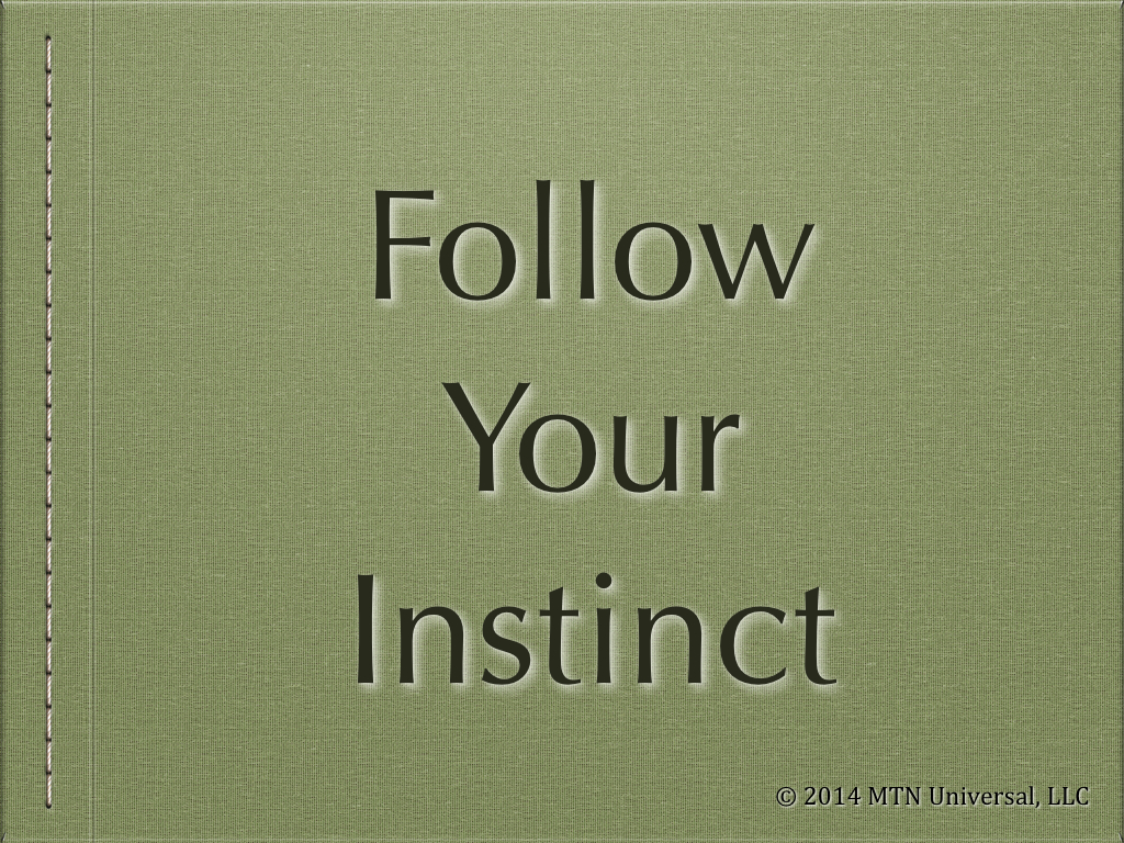 Follow-Your-Instinct.001.jpg