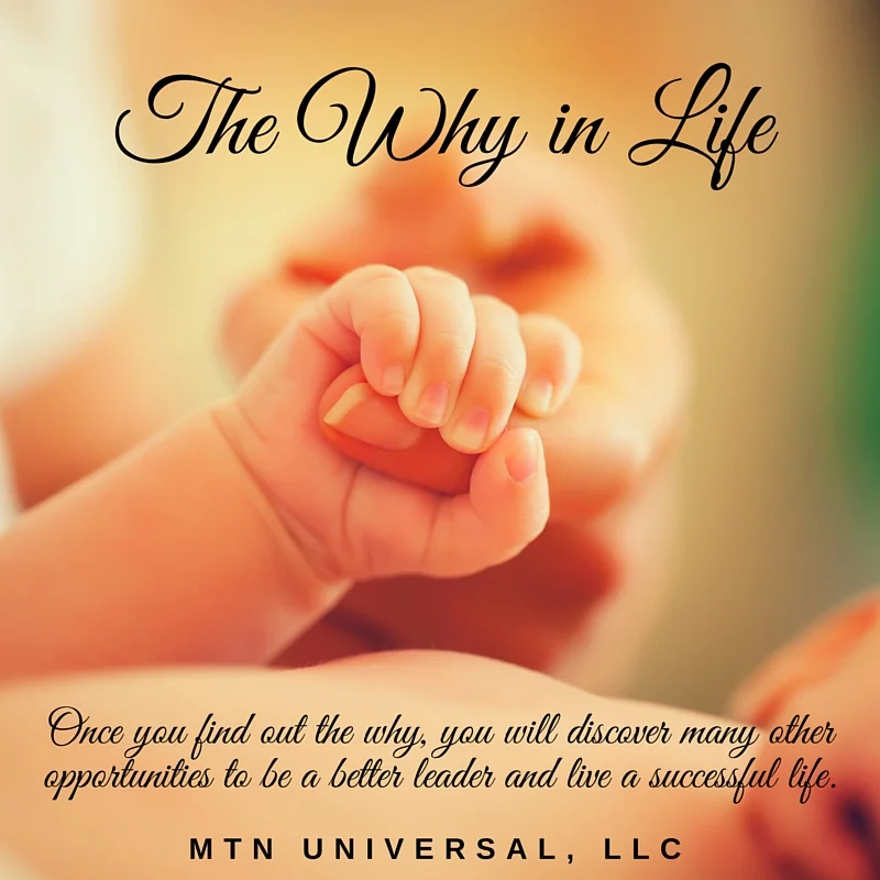 The-Why-in-Life.jpg