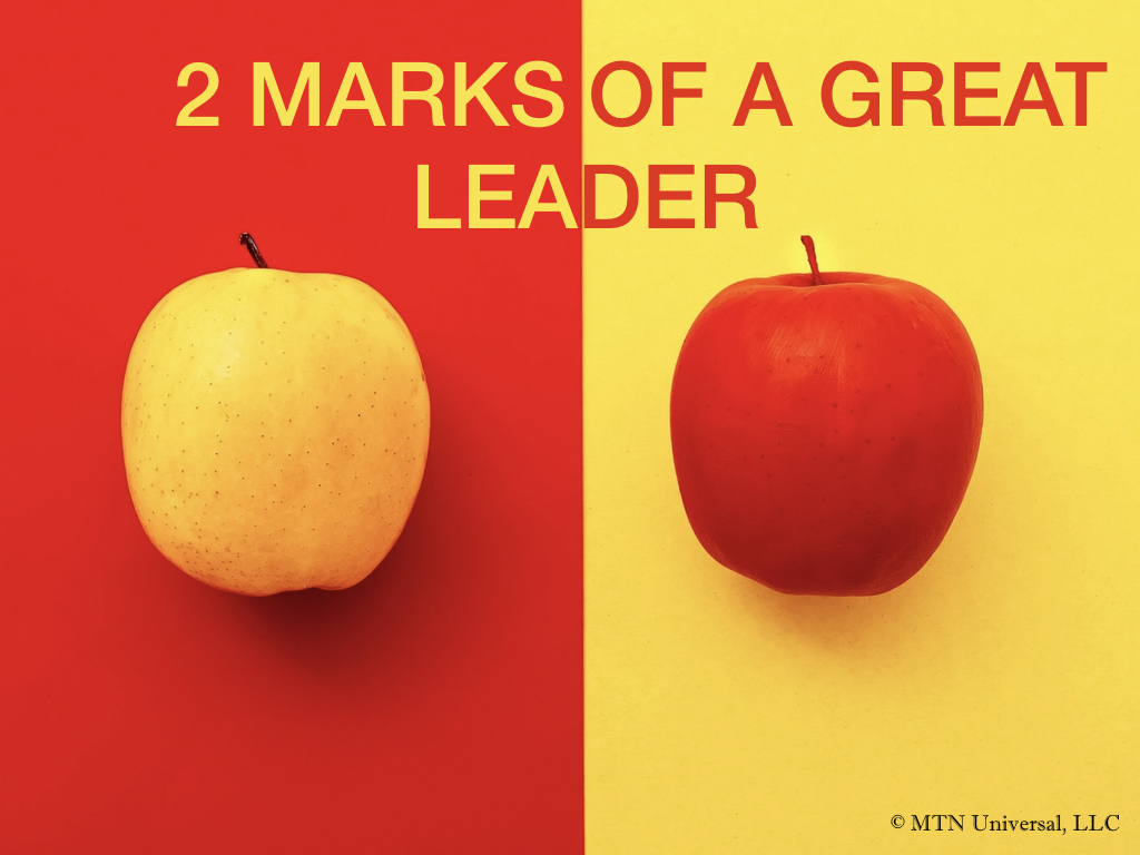 2 MARKS OF A GREAT LEADER.001.jpeg