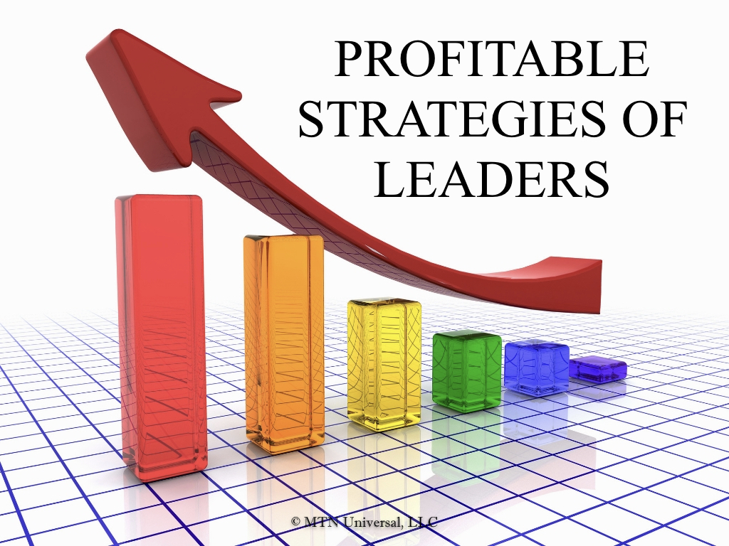 PROFITABLE STRATEGIES OF LEADERS.001.jpeg