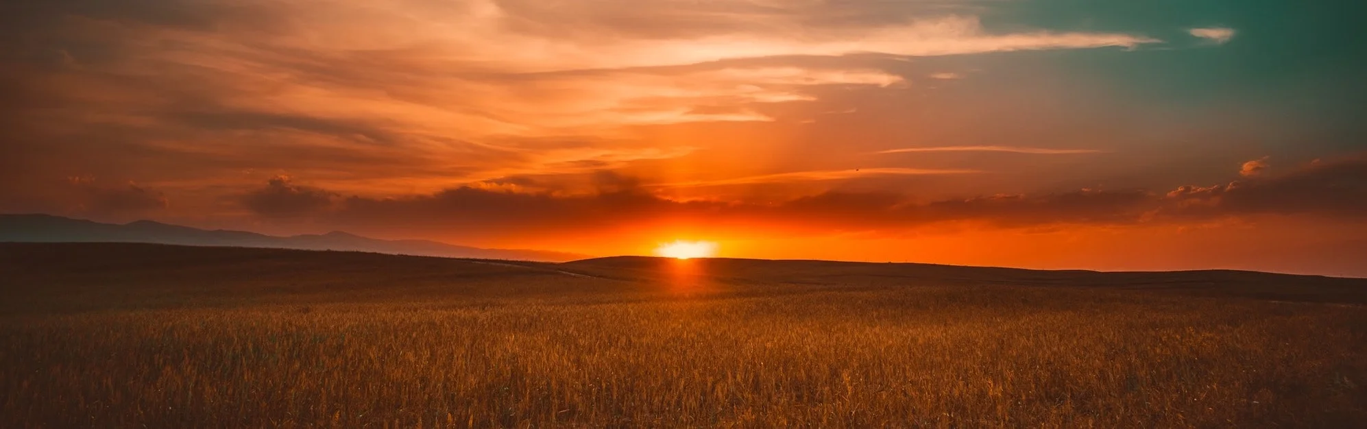 clouds-cropland-crops-462023.jpg