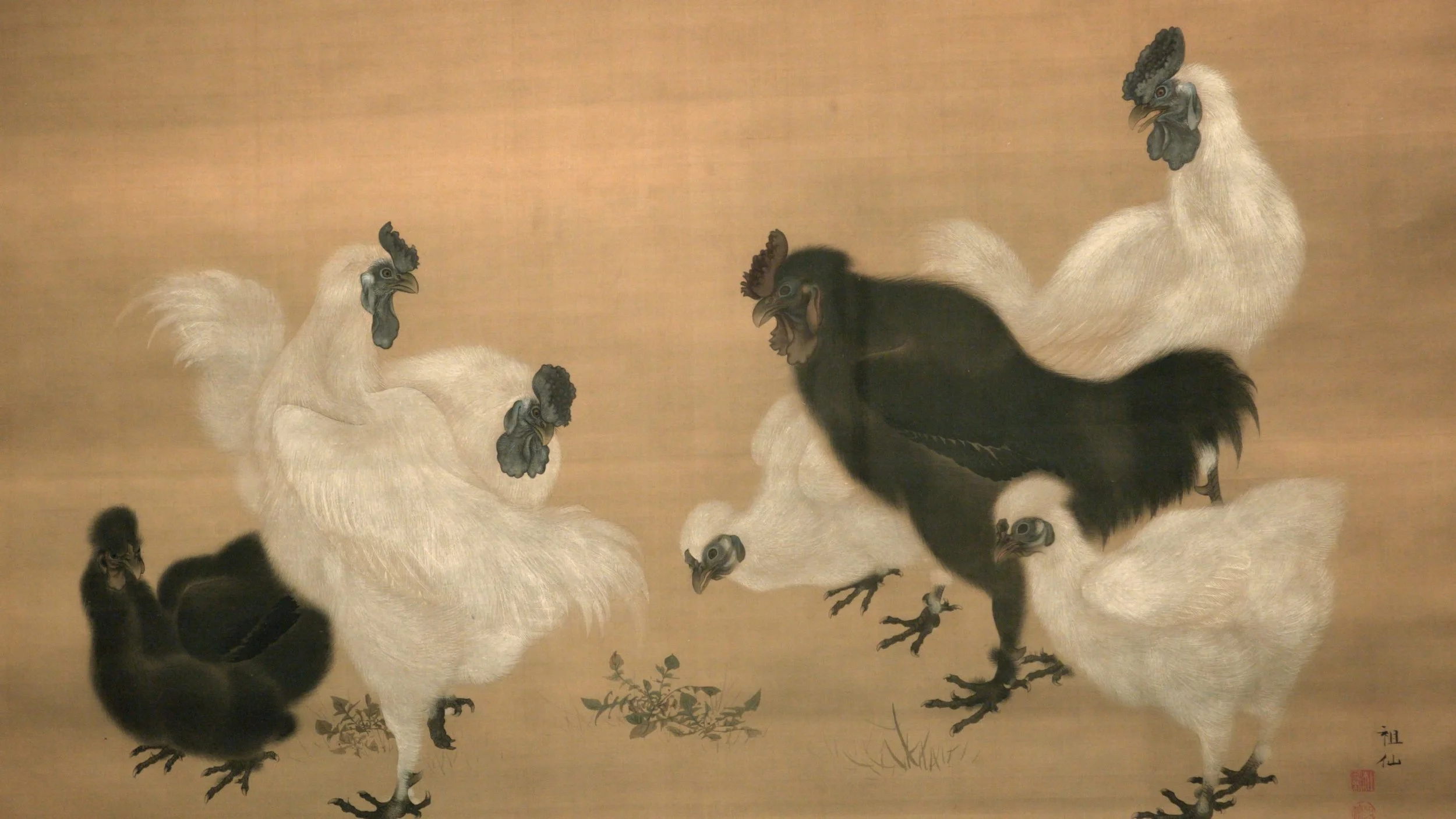 Silkies Metropolitan Museum of Art