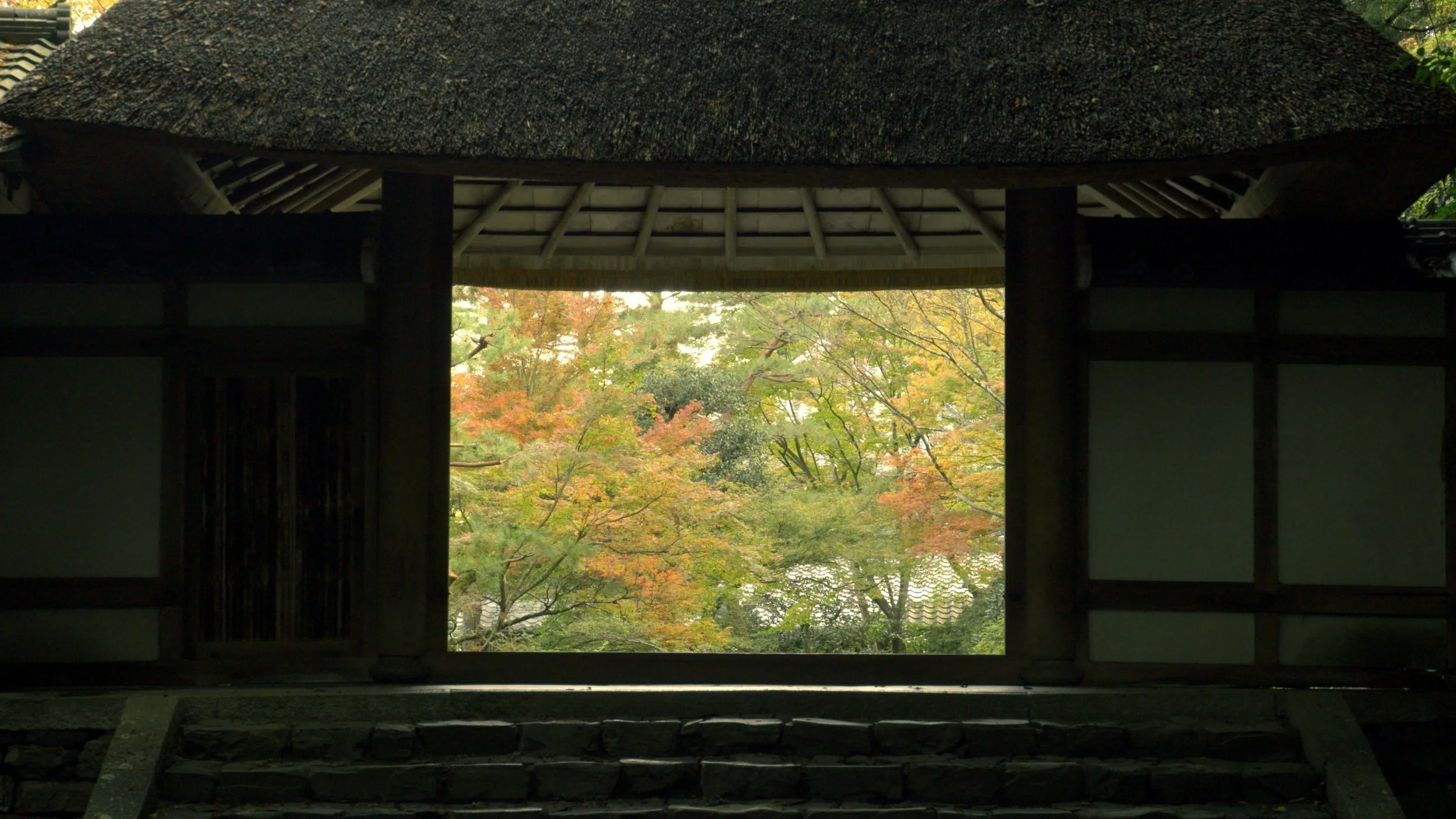 Read more about Honenin Temple here: http://thekyotoproject.org/english/honen-in-temple/