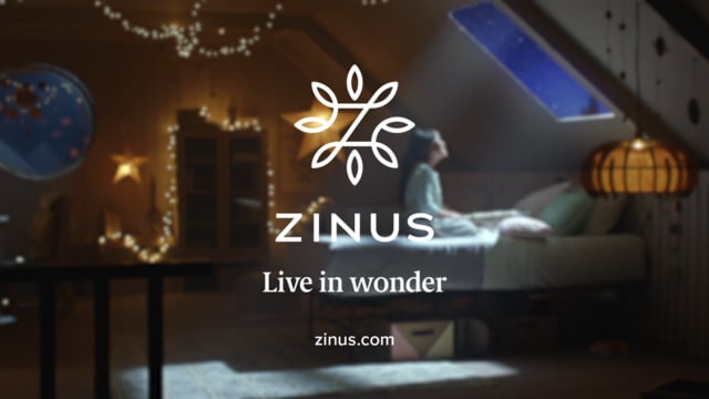 Zinus - Stargazer
