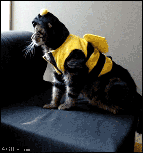 mib.gif