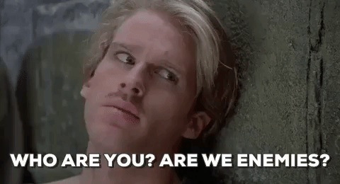 Princess Bride - Who are you.gif