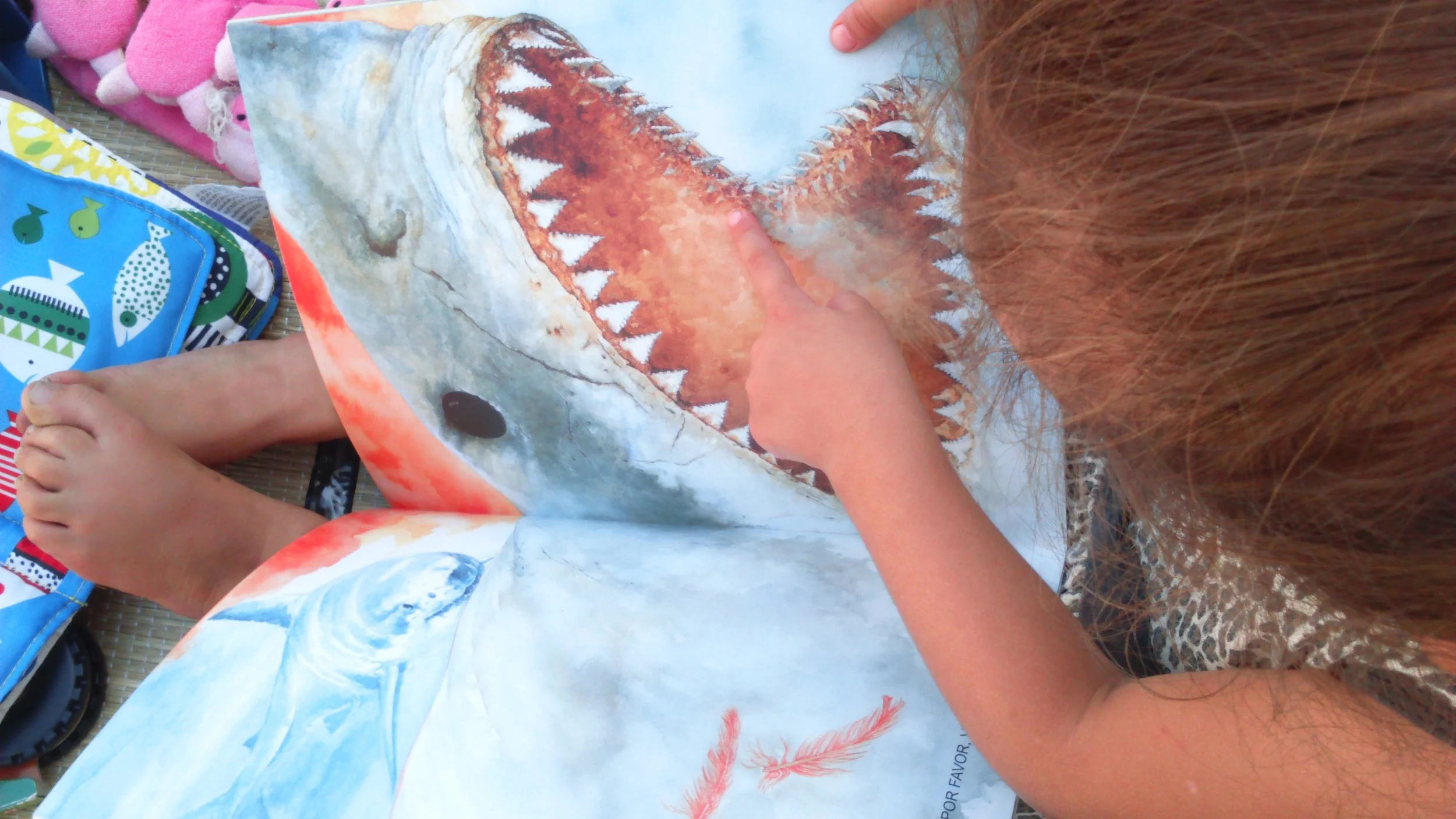 OFICINA: "Todo(a) cuidador(a) deve receber apoio, atenção, formação e ajuda em sua tarefa do bem cuidar"