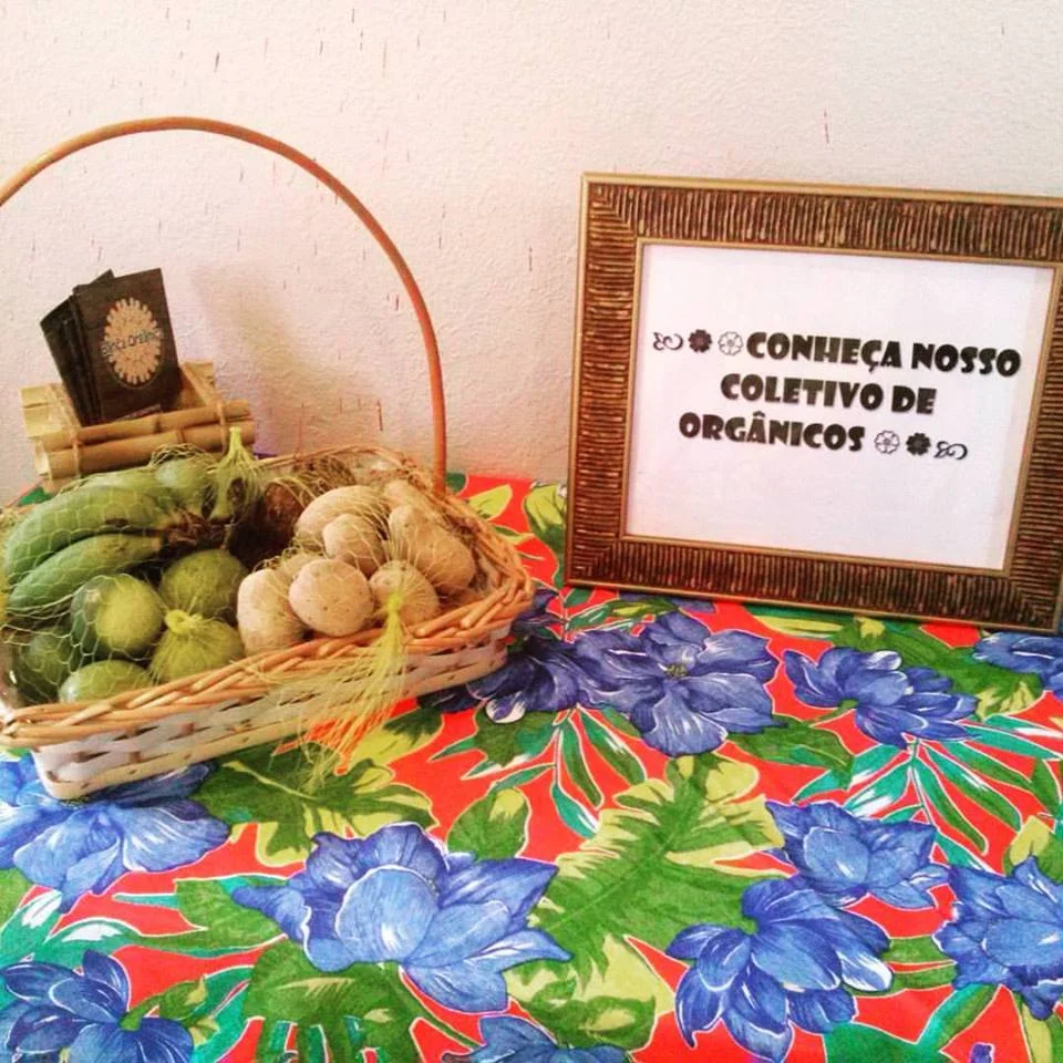 Crianças do abrigo Butantã, parceiro do IFH, ganham cardápio com alimentos orgânicos