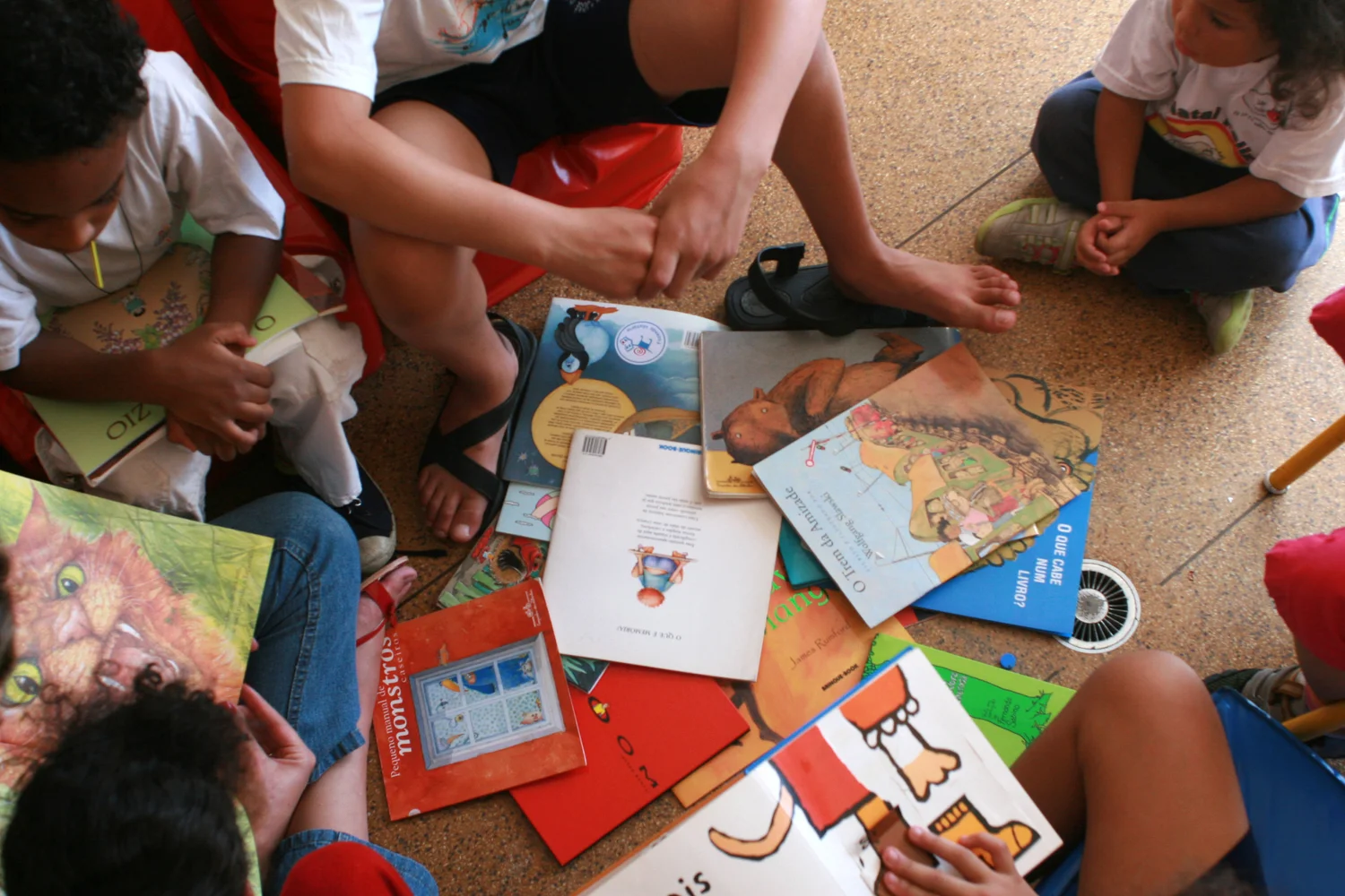 As modalidades de acolhimento no Brasil, suas especificidades e diferen&ccedil;as  &mdash; Instituto Fazendo Hist&oacute;ria