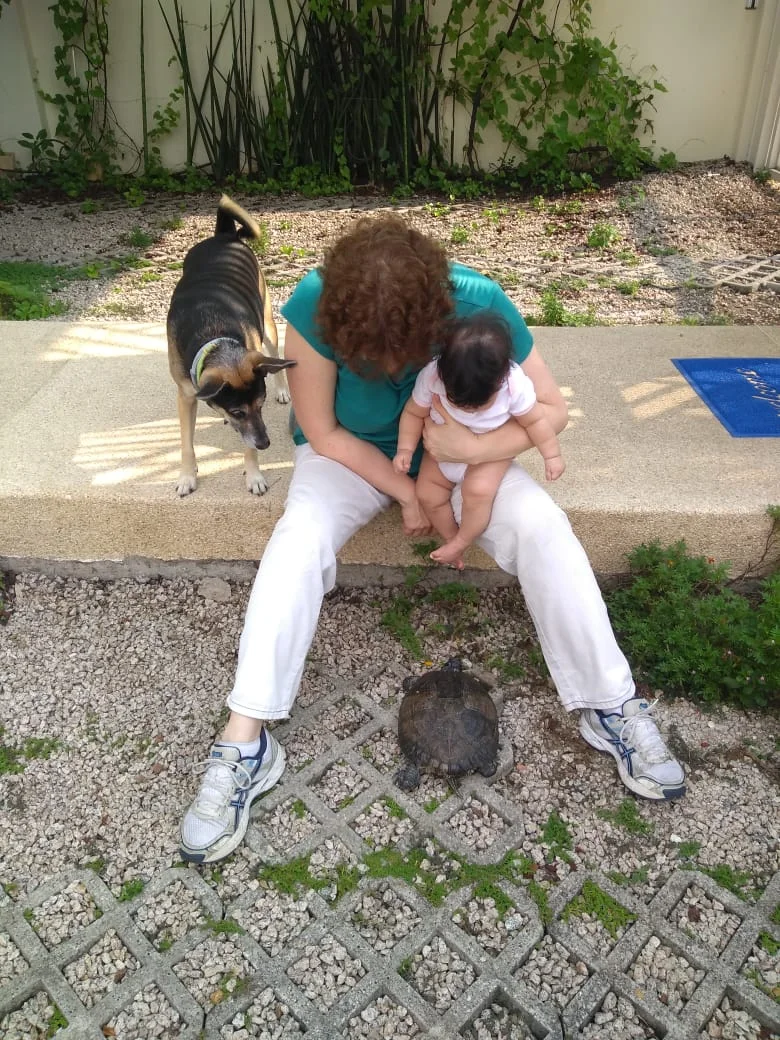 IFH participa de congresso sobre acolhimento familiar em Curitiba