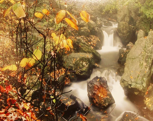Autumn At Ricketts Glen By: Bob Patterson