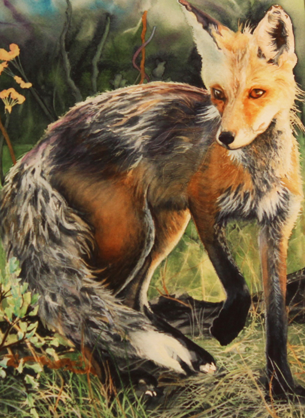 Red Fox; Caught in the Moment-Barbara Jewell.jpg