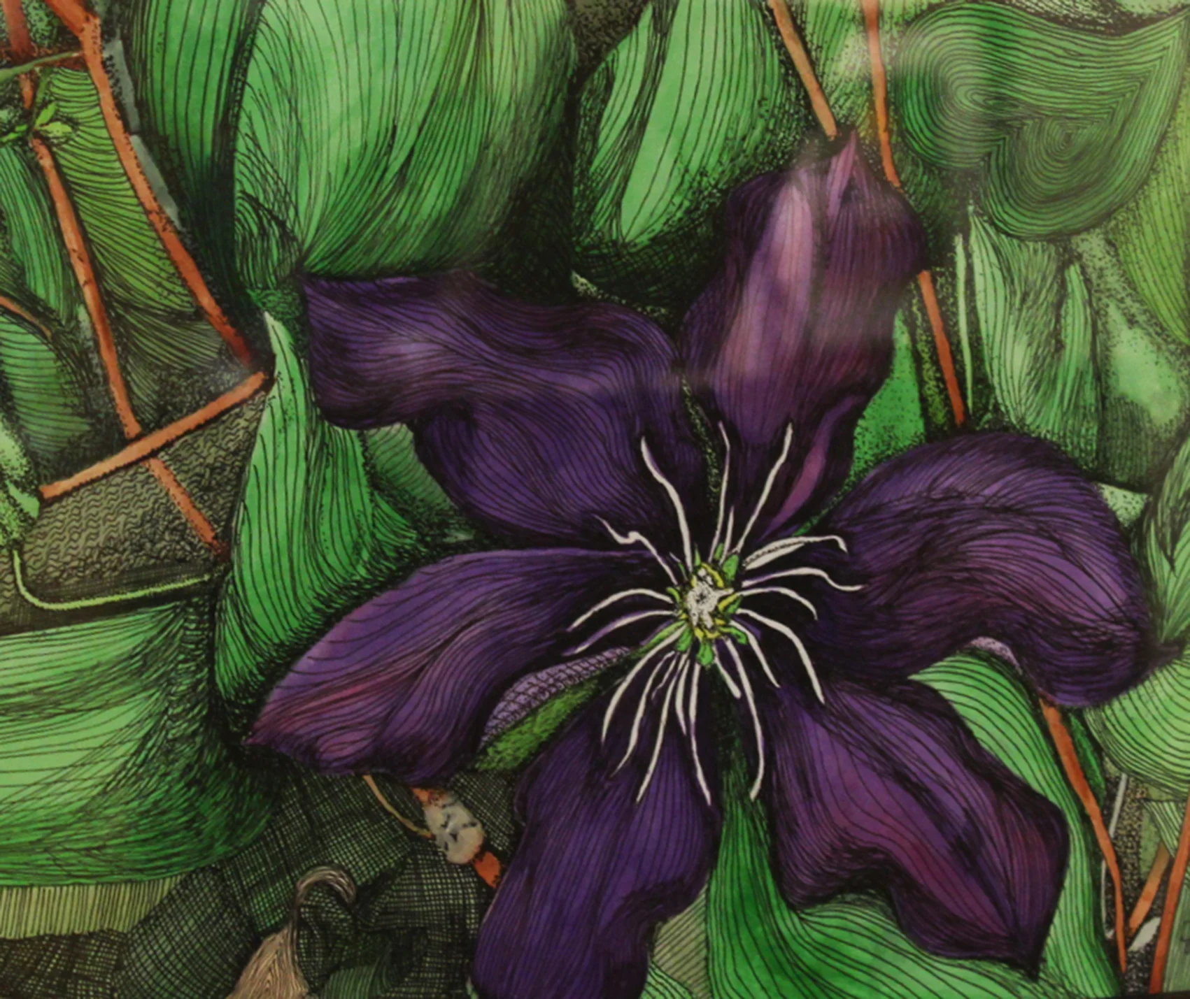 Clematis with Contour Lines-Joy Anglin.jpg