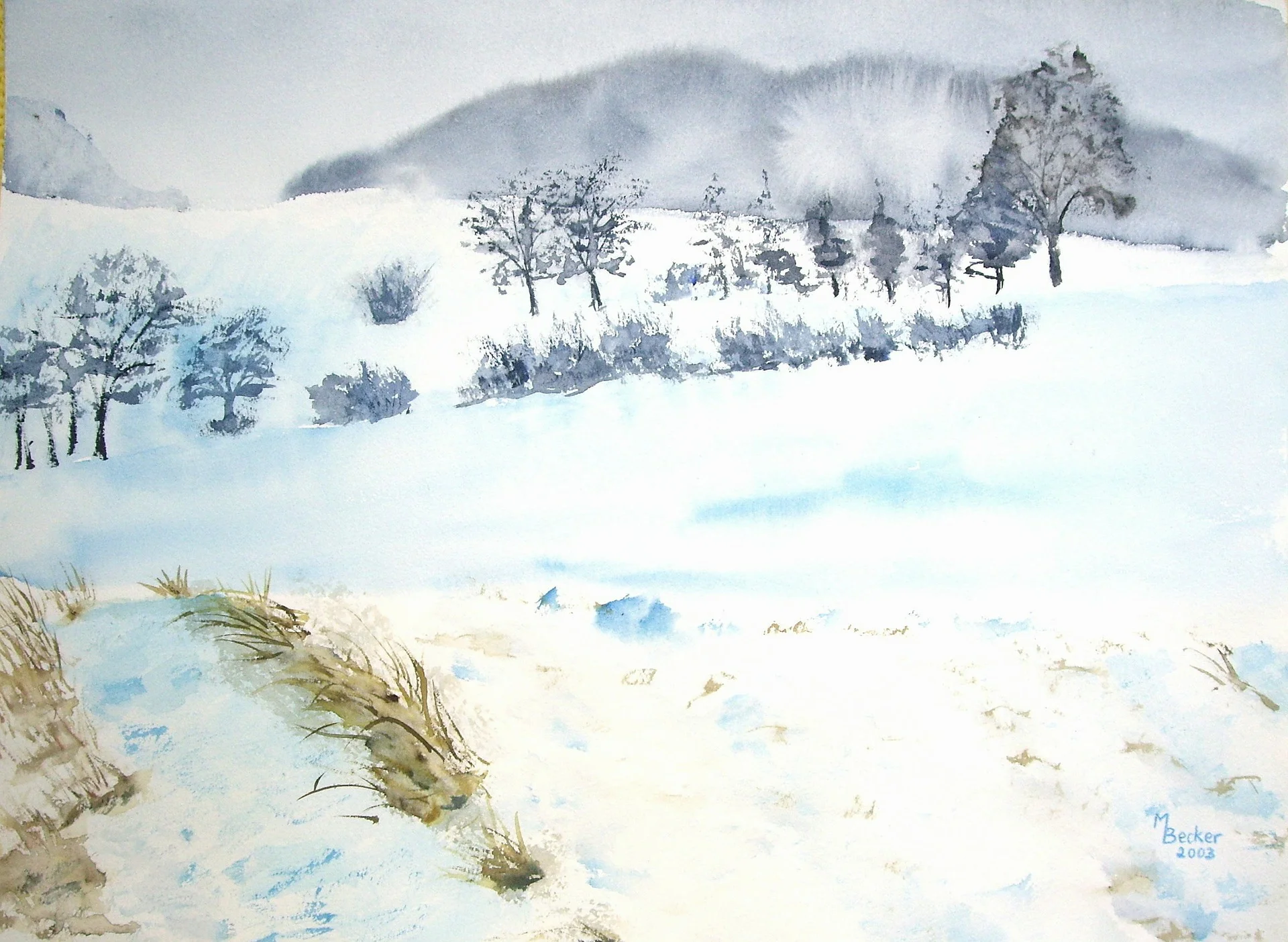 Winter Wonderland.jpg