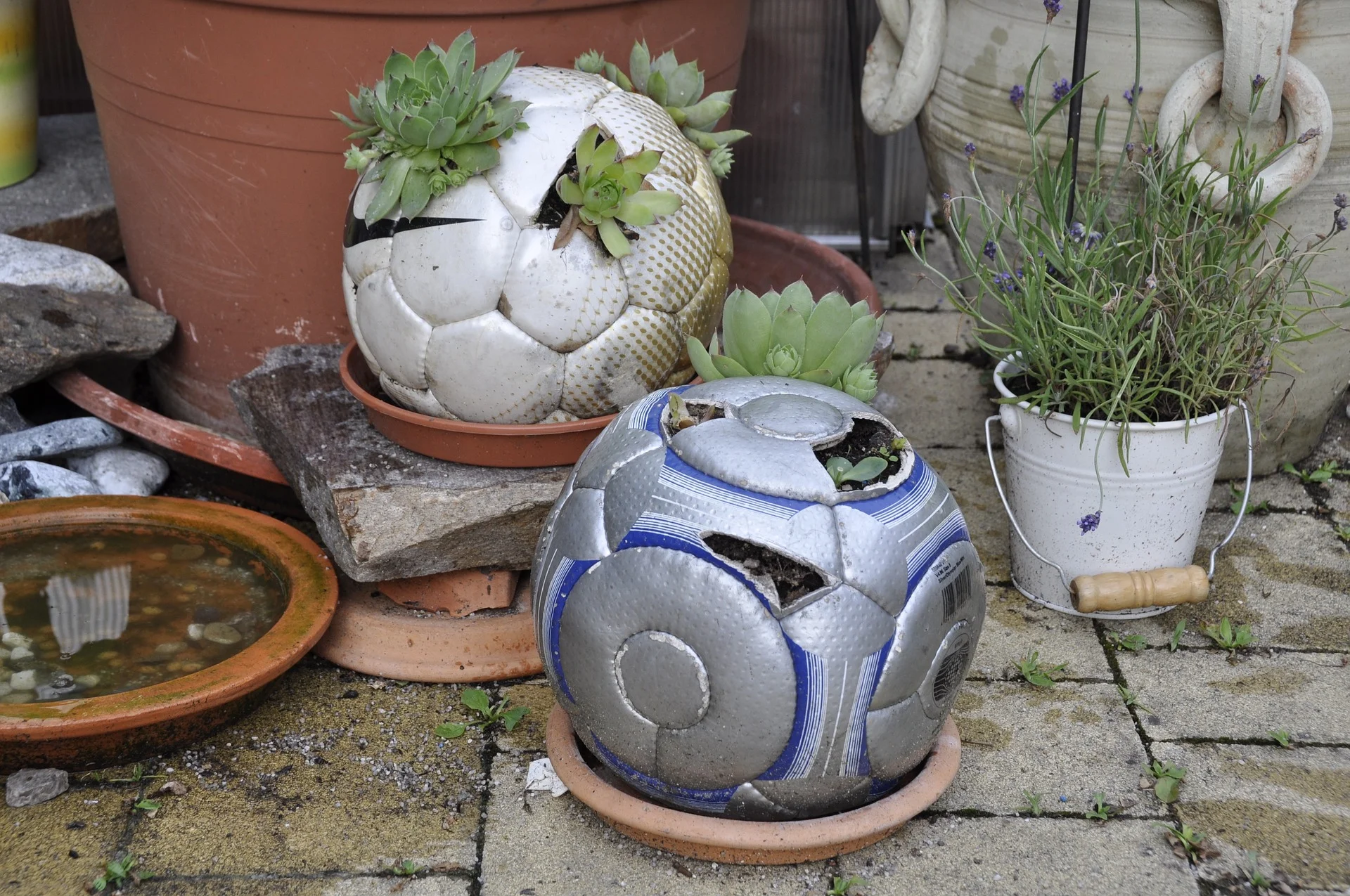 Gratitude Garden.jpg