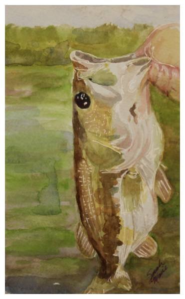 Nice Catch, Sarah Grumbine