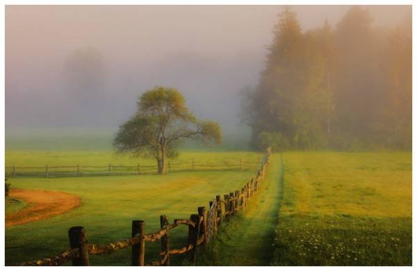 Summer Sunrise, Clare Kaczmarek