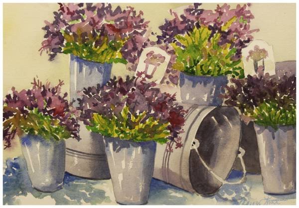 Pots Of Lavender, Marie Lint
