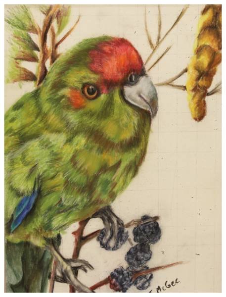 Parakeets Haven, Tammy McGee